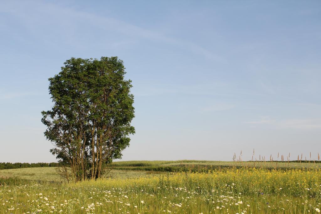 Agroturystyka Nowa Wolka Leczna Εξωτερικό φωτογραφία